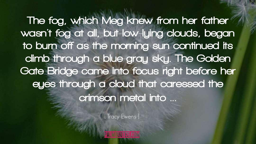 Tracy Ewens Quotes: The fog, which Meg knew