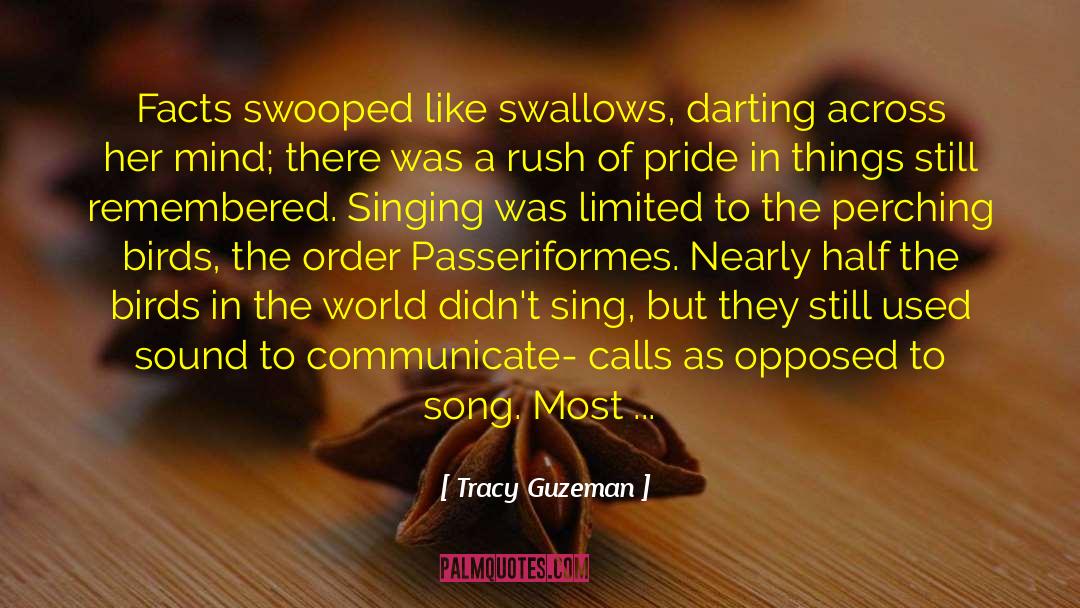 Tracy Guzeman Quotes: Facts swooped like swallows, darting