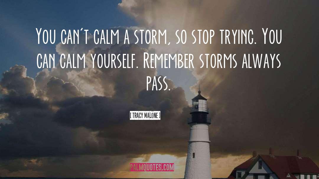 Tracy Malone Quotes: You can't calm a storm,