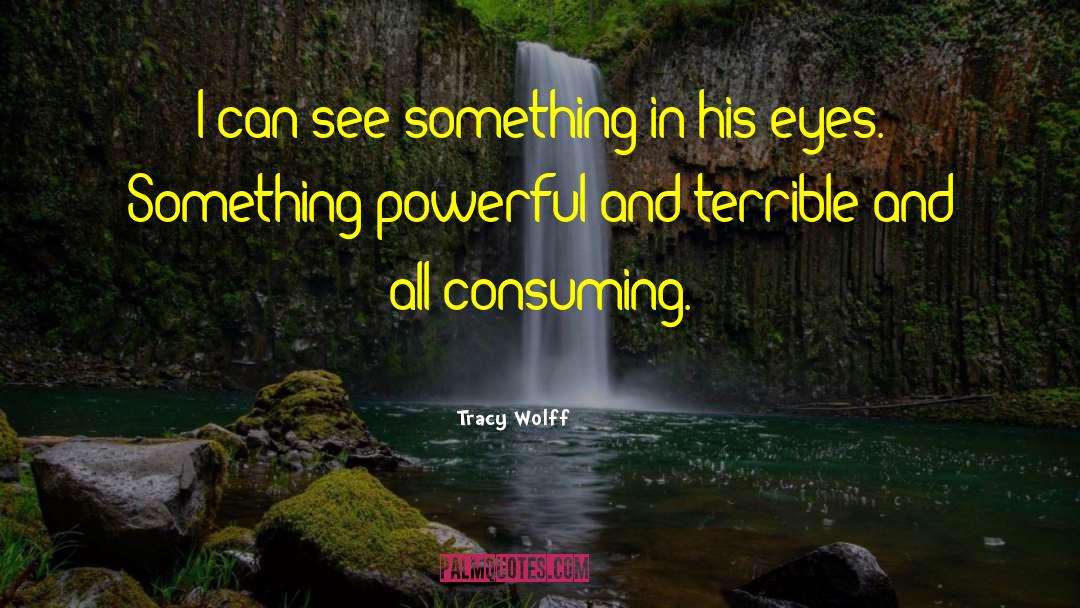 Tracy Wolff Quotes: I can see something in