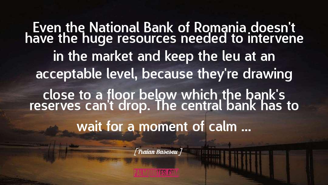 Traian Basescu Quotes: Even the National Bank of