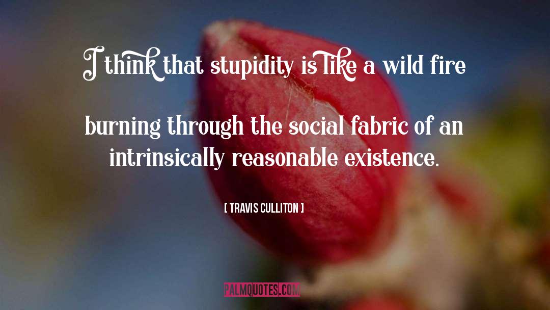 Travis Culliton Quotes: I think that stupidity is