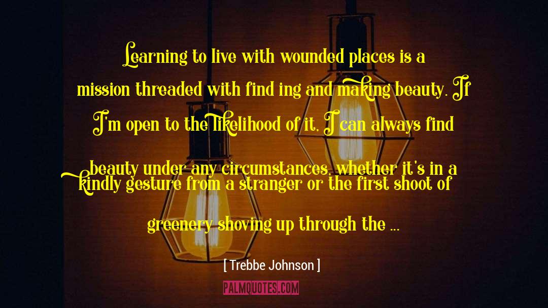 Trebbe Johnson Quotes: Learning to live with wounded