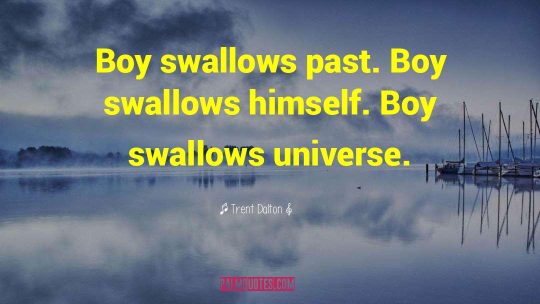 Trent Dalton Quotes: Boy swallows past. Boy swallows