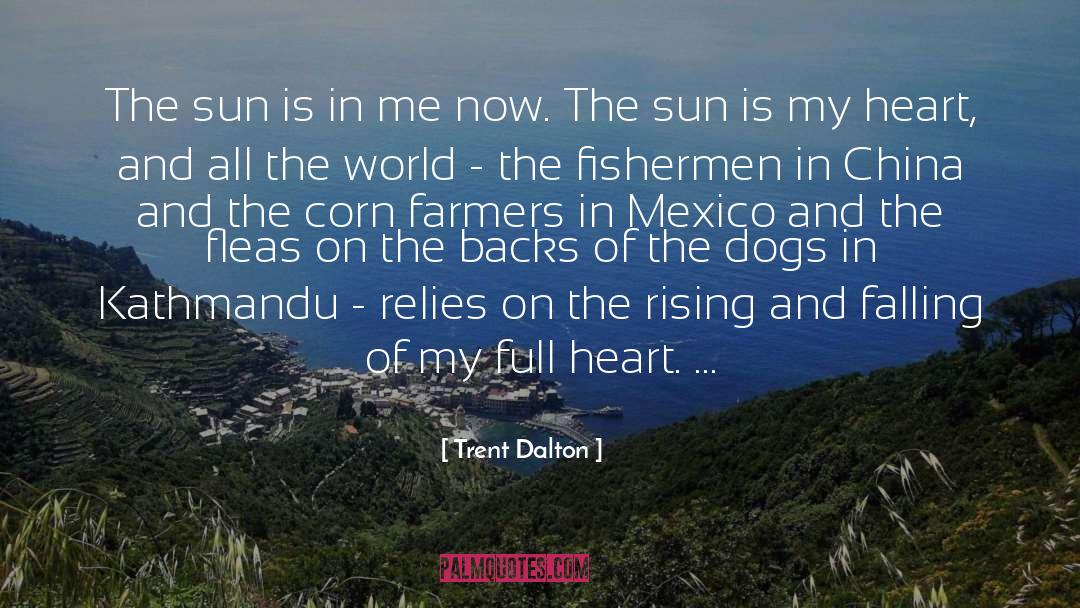 Trent Dalton Quotes: The sun is in me