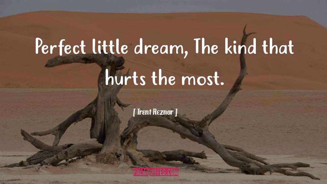 Trent Reznor Quotes: Perfect little dream, The kind