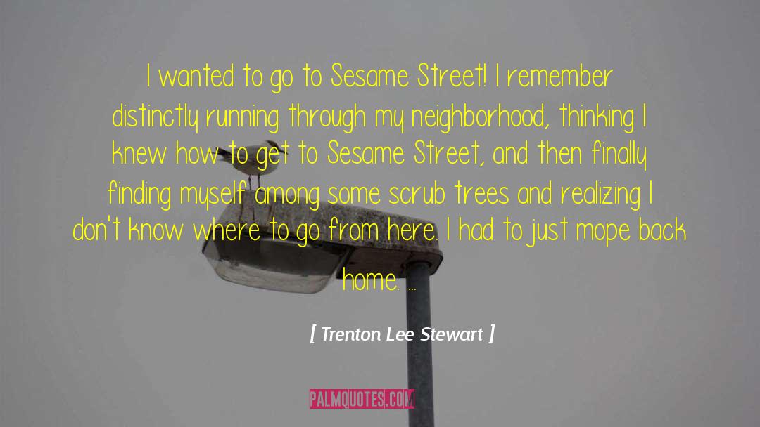 Trenton Lee Stewart Quotes: I wanted to go to