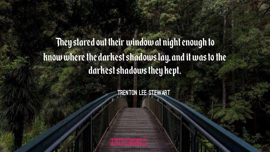 Trenton Lee Stewart Quotes: They stared out their window