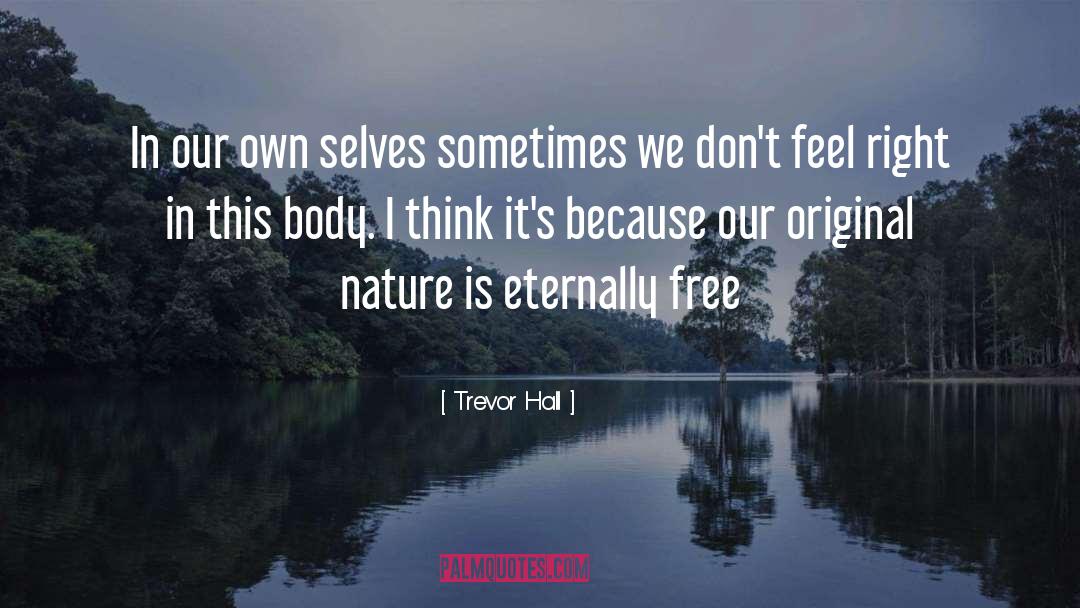 Trevor Hall Quotes: In our own selves sometimes