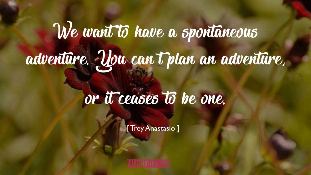 Trey Anastasio Quotes: We want to have a