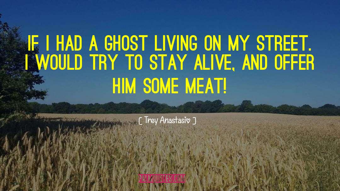 Trey Anastasio Quotes: If I had a ghost