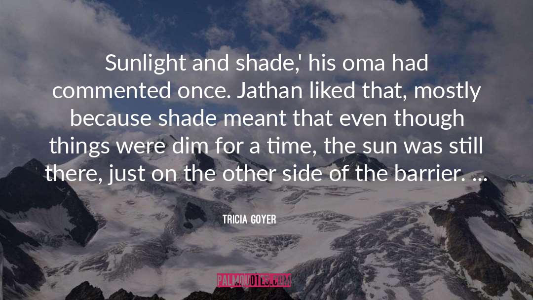 Tricia Goyer Quotes: Sunlight and shade,' his oma