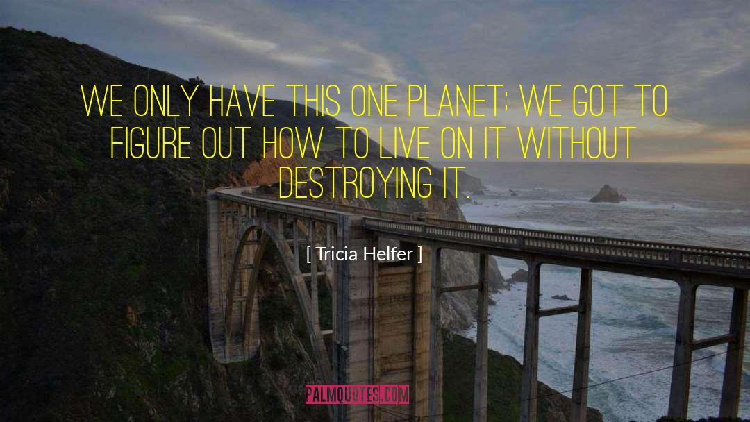 Tricia Helfer Quotes: We only have this one