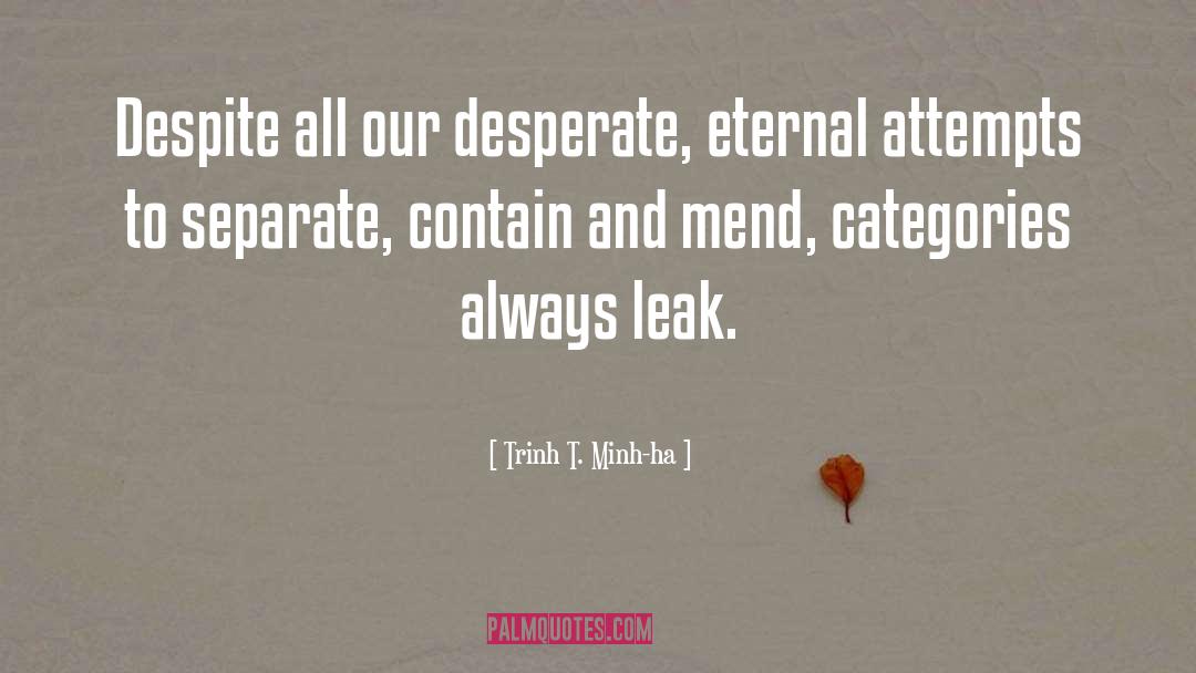 Trinh T. Minh-ha Quotes: Despite all our desperate, eternal