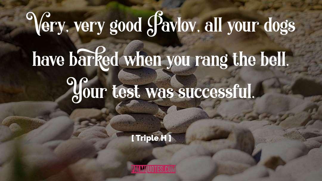 Triple H Quotes: Very, very good Pavlov, all
