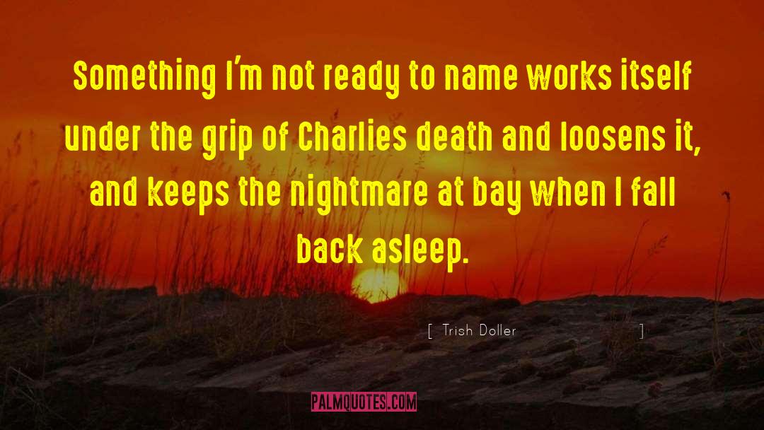 Trish Doller Quotes: Something I'm not ready to