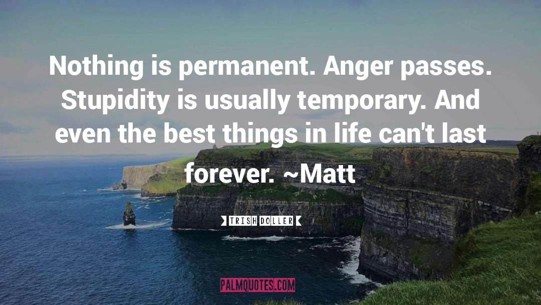 Trish Doller Quotes: Nothing is permanent. Anger passes.