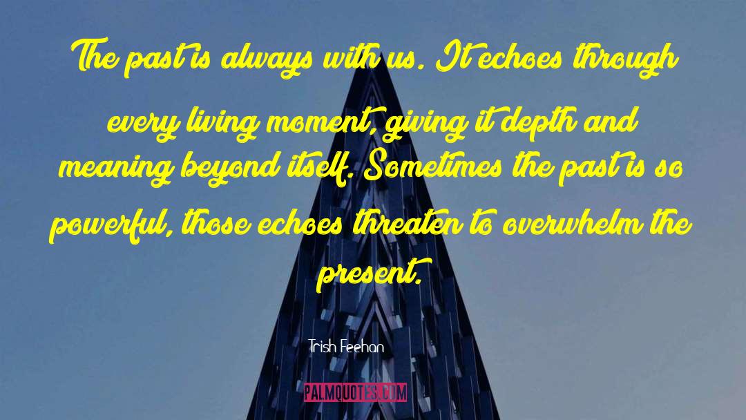 Trish Feehan Quotes: The past is always with