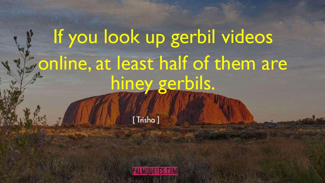 Trisha Quotes: If you look up gerbil