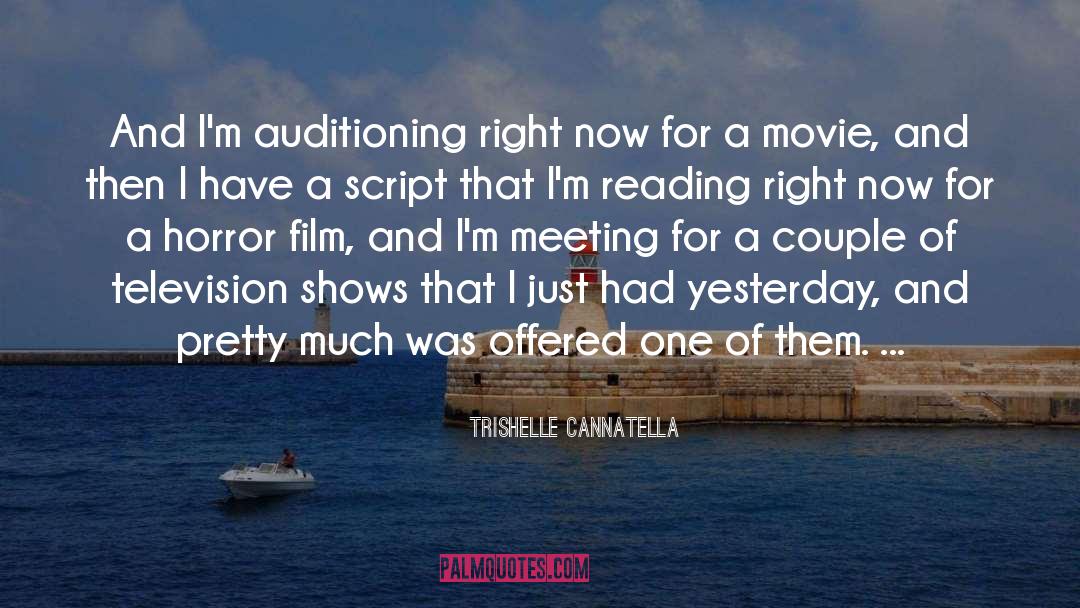 Trishelle Cannatella Quotes: And I'm auditioning right now