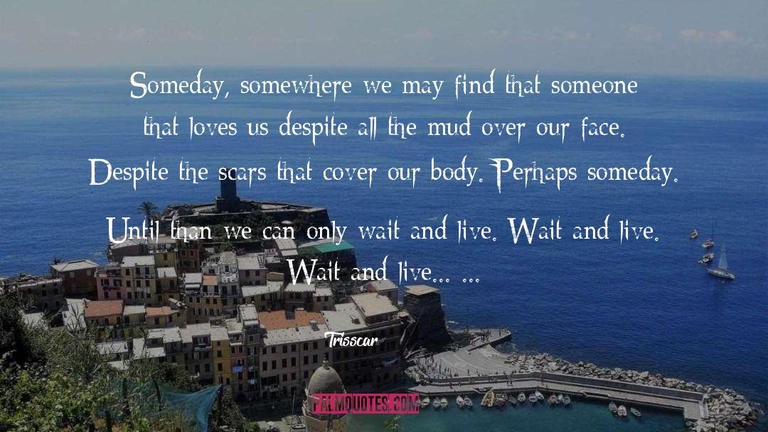 Trisscar Quotes: Someday, somewhere we may find