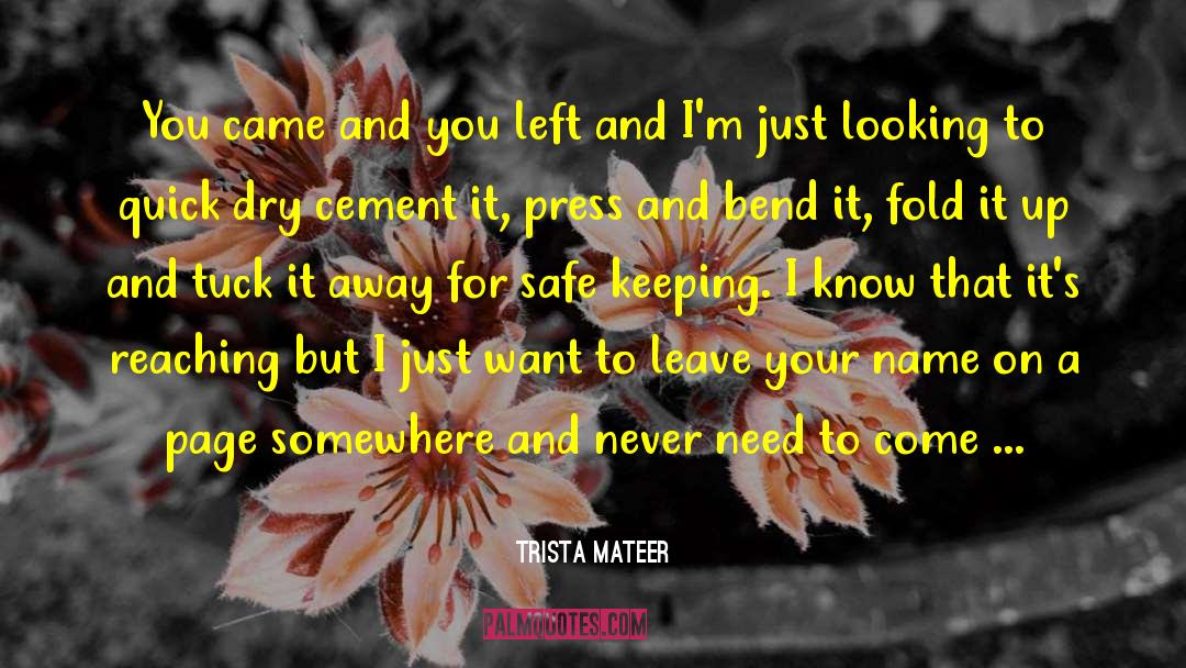 Trista Mateer Quotes: You came and you left