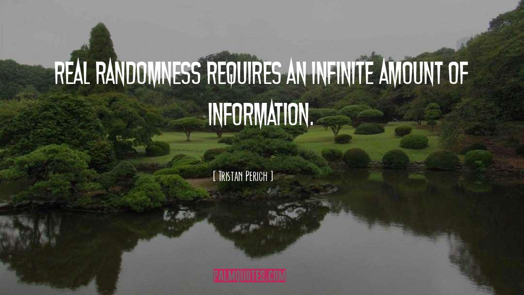 Tristan Perich Quotes: Real randomness requires an infinite