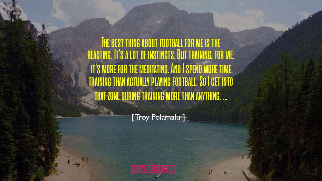 Troy Polamalu Quotes: The best thing about football