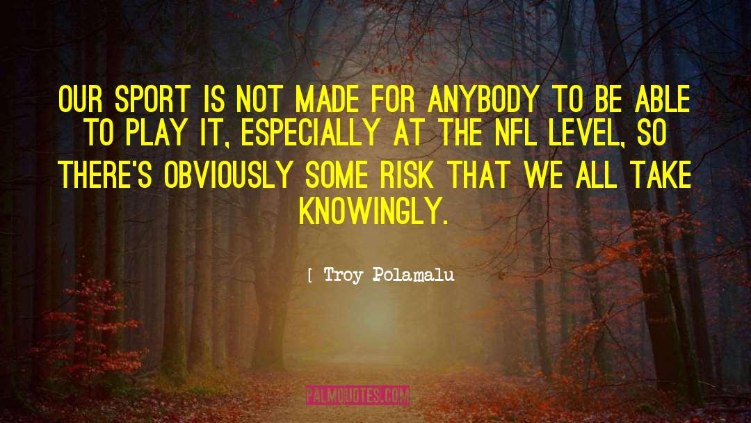 Troy Polamalu Quotes: Our sport is not made