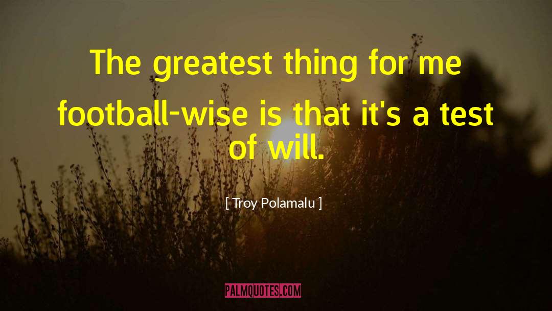 Troy Polamalu Quotes: The greatest thing for me