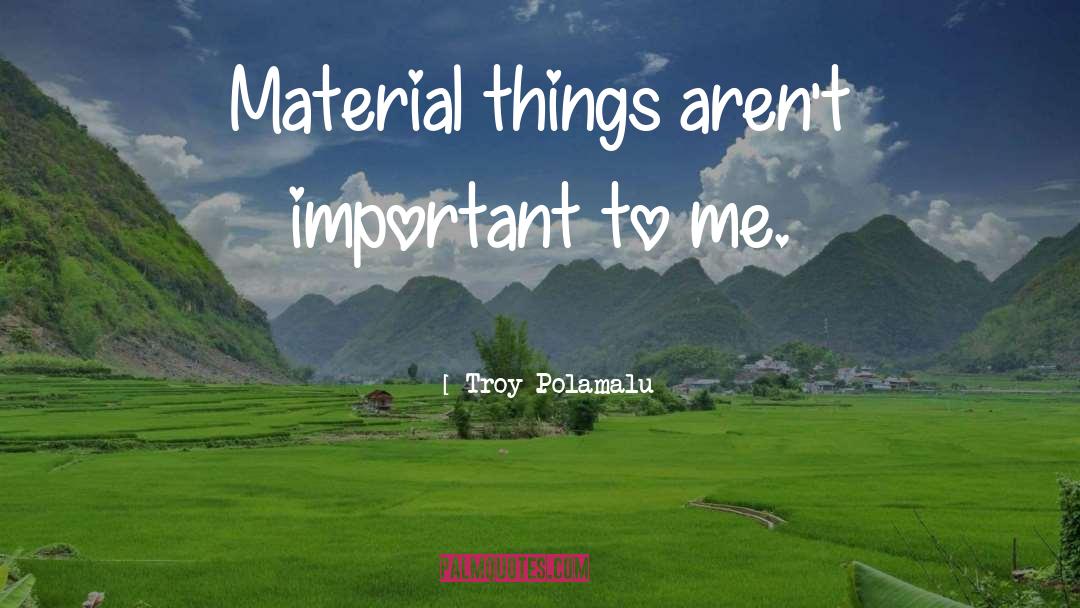 Troy Polamalu Quotes: Material things aren't important to