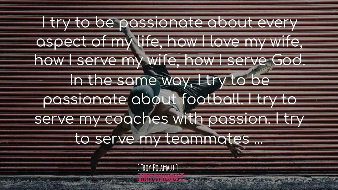 Troy Polamalu Quotes: I try to be passionate