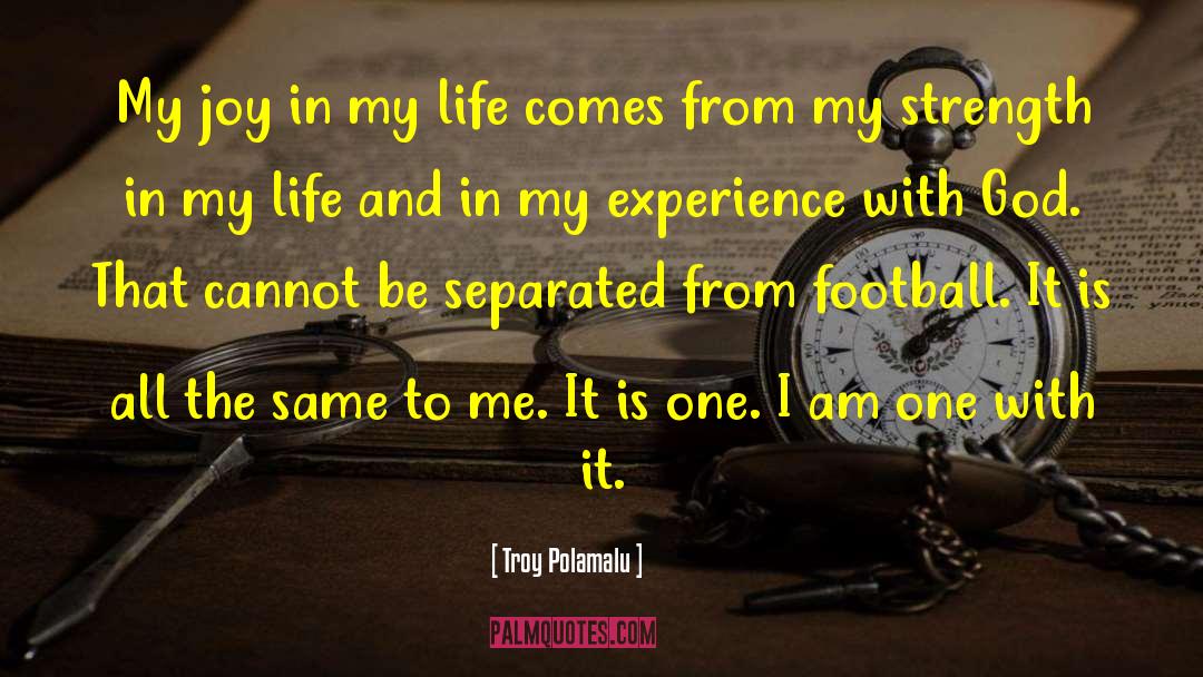 Troy Polamalu Quotes: My joy in my life
