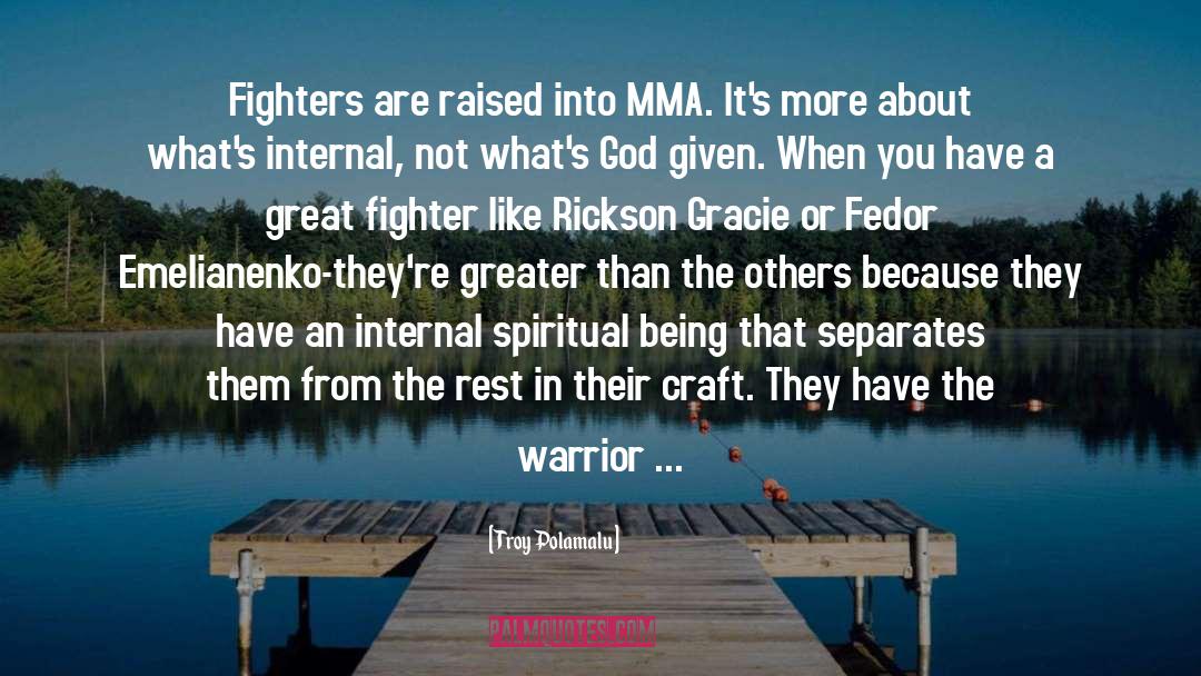 Troy Polamalu Quotes: Fighters are raised into MMA.