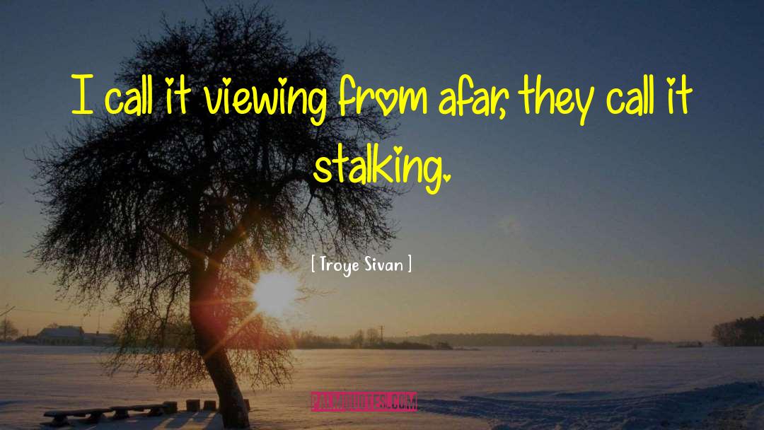 Troye Sivan Quotes: I call it viewing from