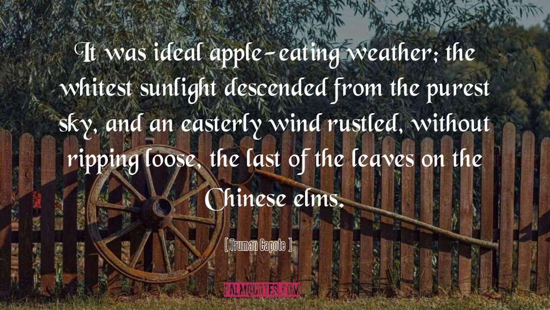 Truman Capote Quotes: It was ideal apple-eating weather;