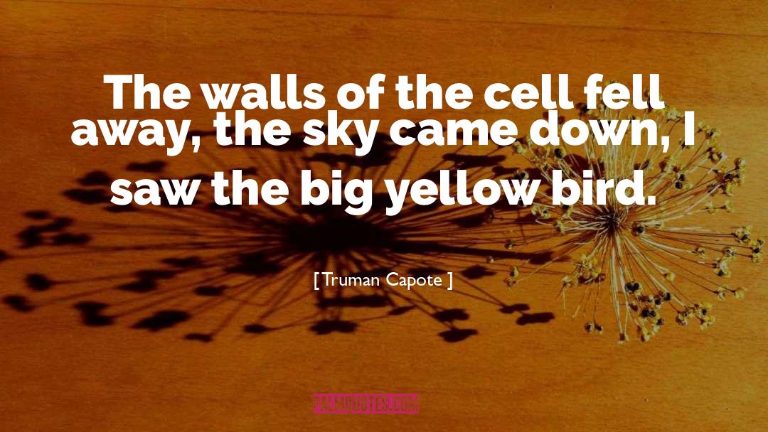 Truman Capote Quotes: The walls of the cell