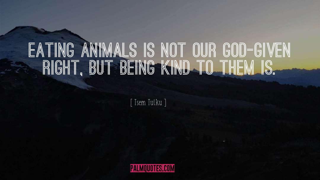 Tsem Tulku Quotes: Eating animals is not our