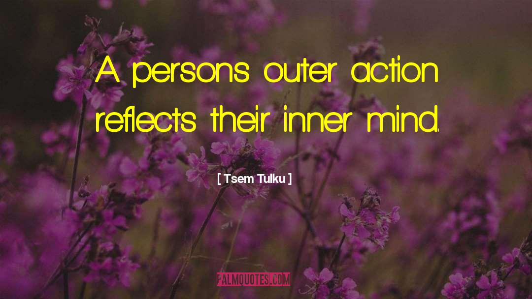 Tsem Tulku Quotes: A persons outer action reflects