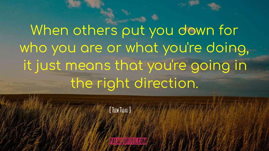 Tsem Tulku Quotes: When others put you down