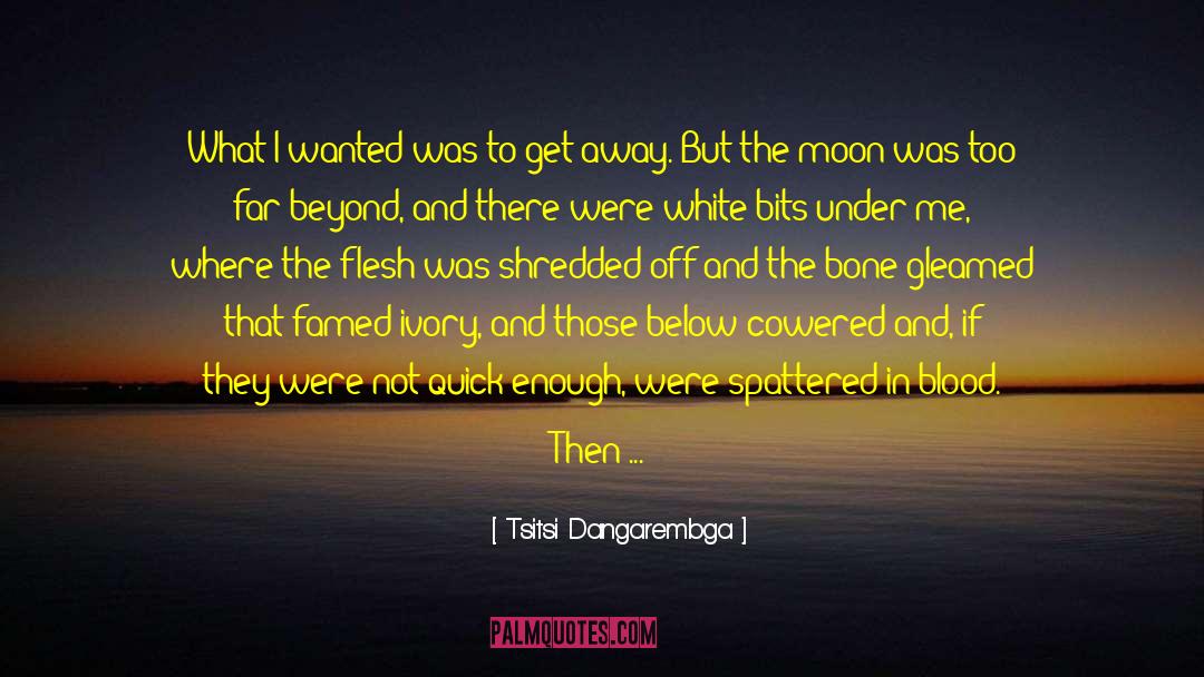 Tsitsi Dangarembga Quotes: What I wanted was to