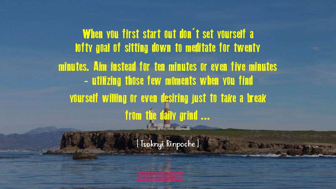 Tsoknyi Rinpoche Quotes: When you first start out