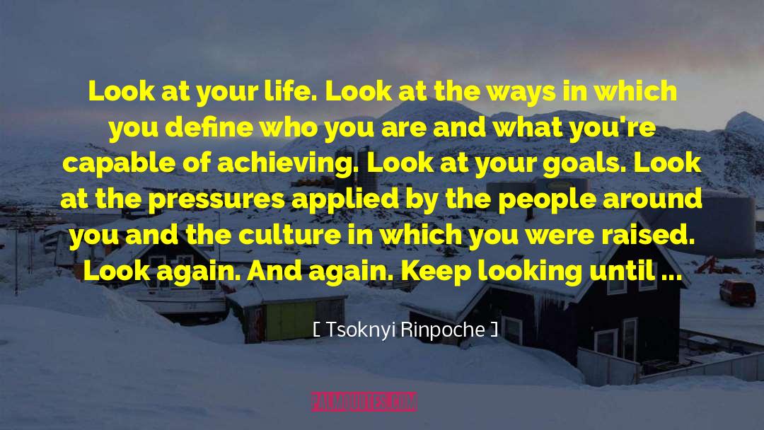 Tsoknyi Rinpoche Quotes: Look at your life. Look