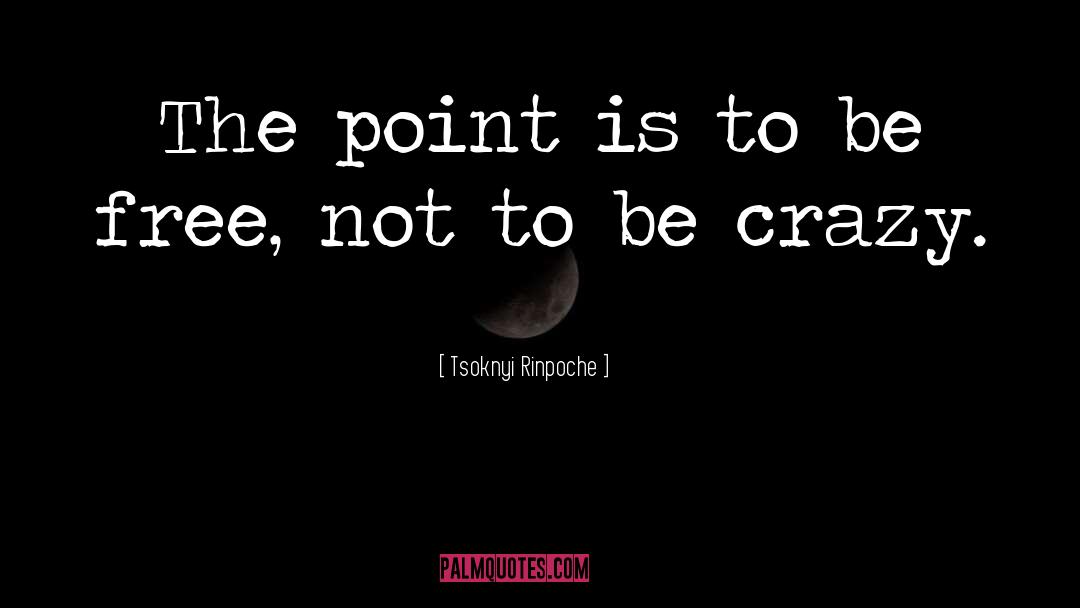 Tsoknyi Rinpoche Quotes: The point is to be