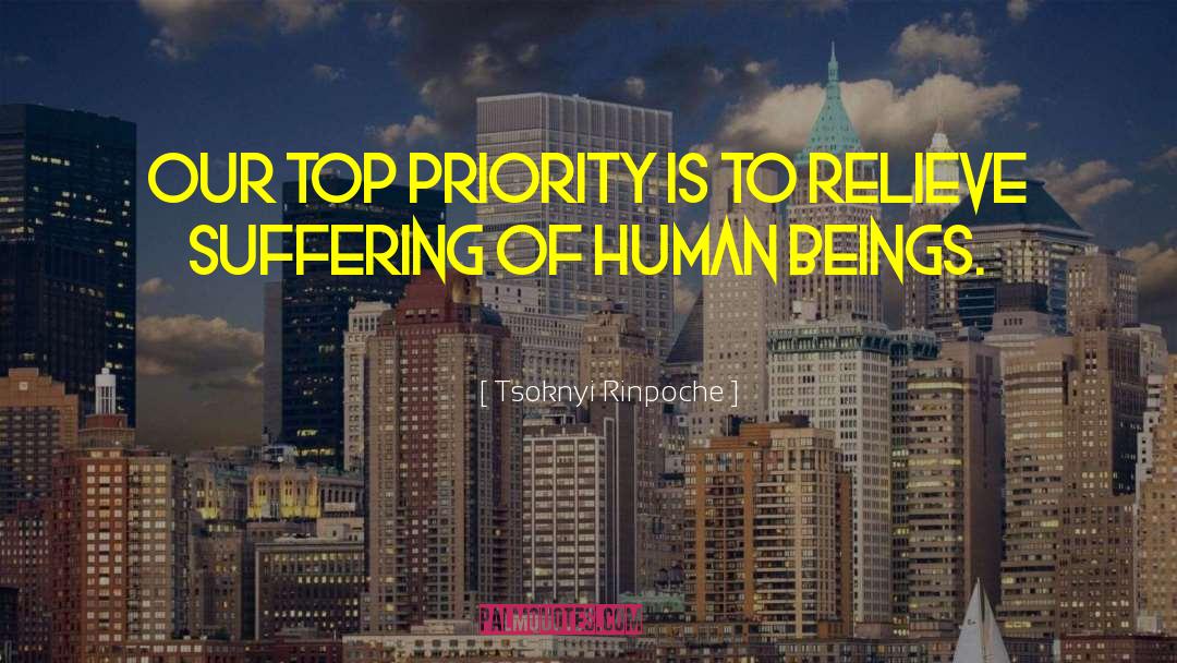 Tsoknyi Rinpoche Quotes: Our top priority is to