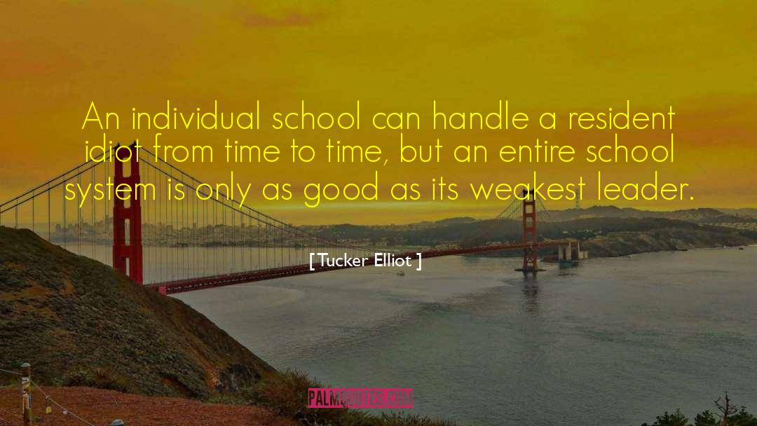 Tucker Elliot Quotes: An individual school can handle