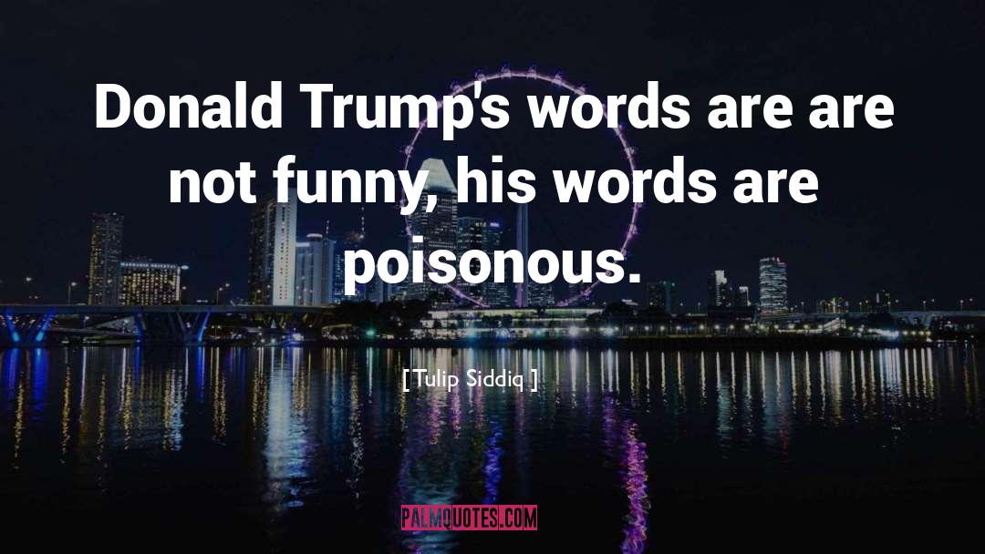 Tulip Siddiq Quotes: Donald Trump's words are are