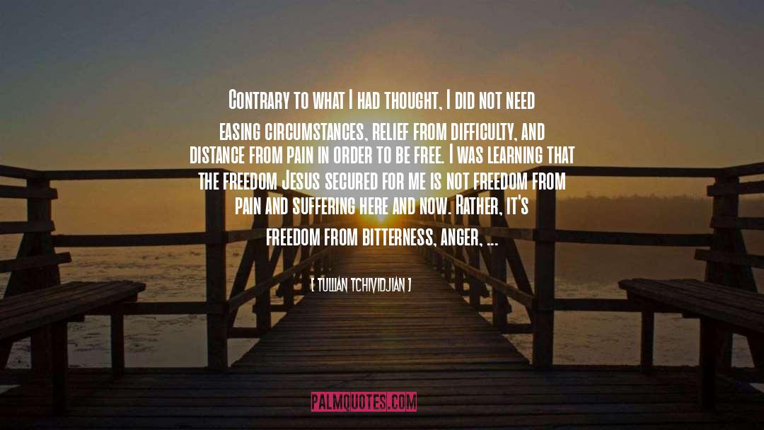 Tullian Tchividjian Quotes: Contrary to what I had