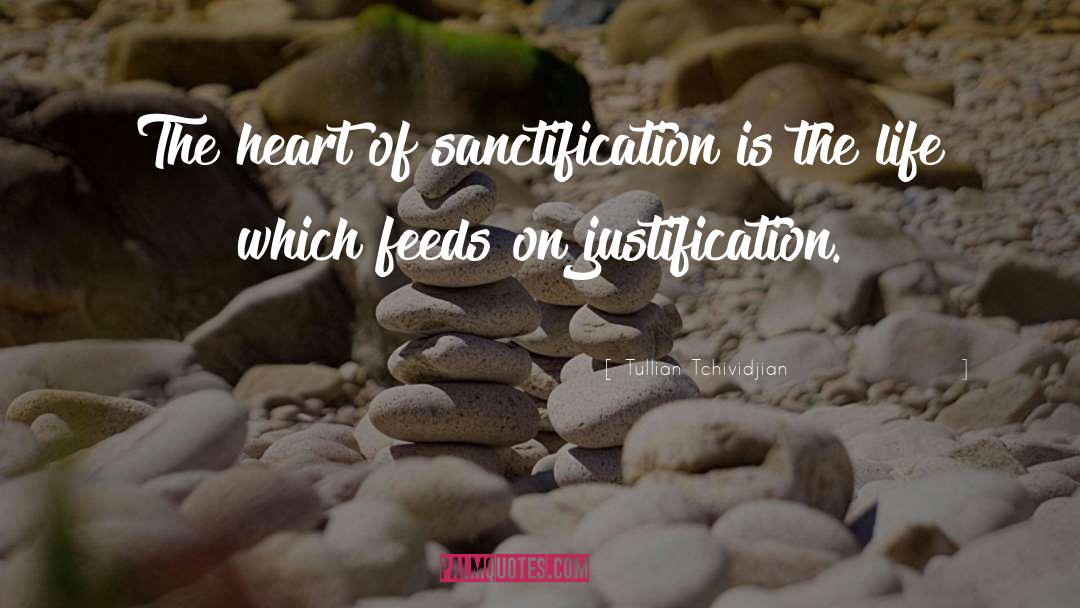 Tullian Tchividjian Quotes: The heart of sanctification is