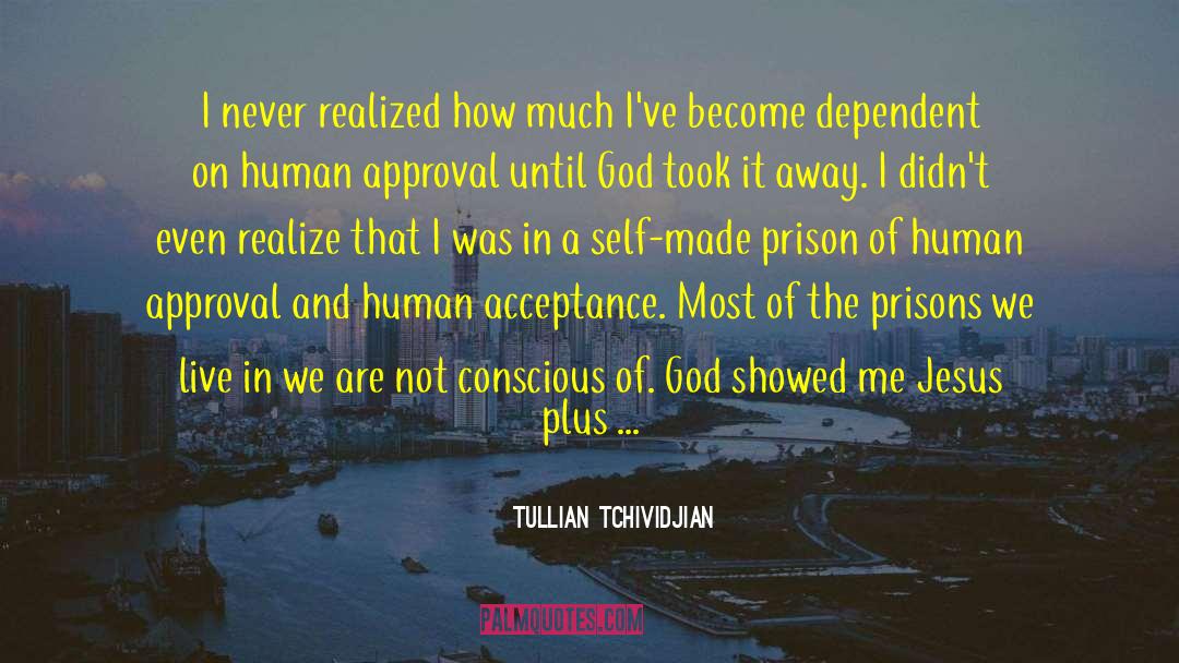 Tullian Tchividjian Quotes: I never realized how much